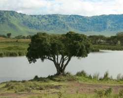 It contains Ngoitokitok Spring which is the main water source of the area. The existence of spring and natural beauty makes the place an awesome picni